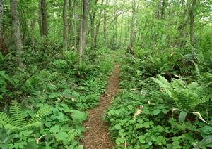 予約なしで受診が可能な小倉の心療内科