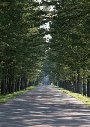 新宿の心療内科でチック症状の相談